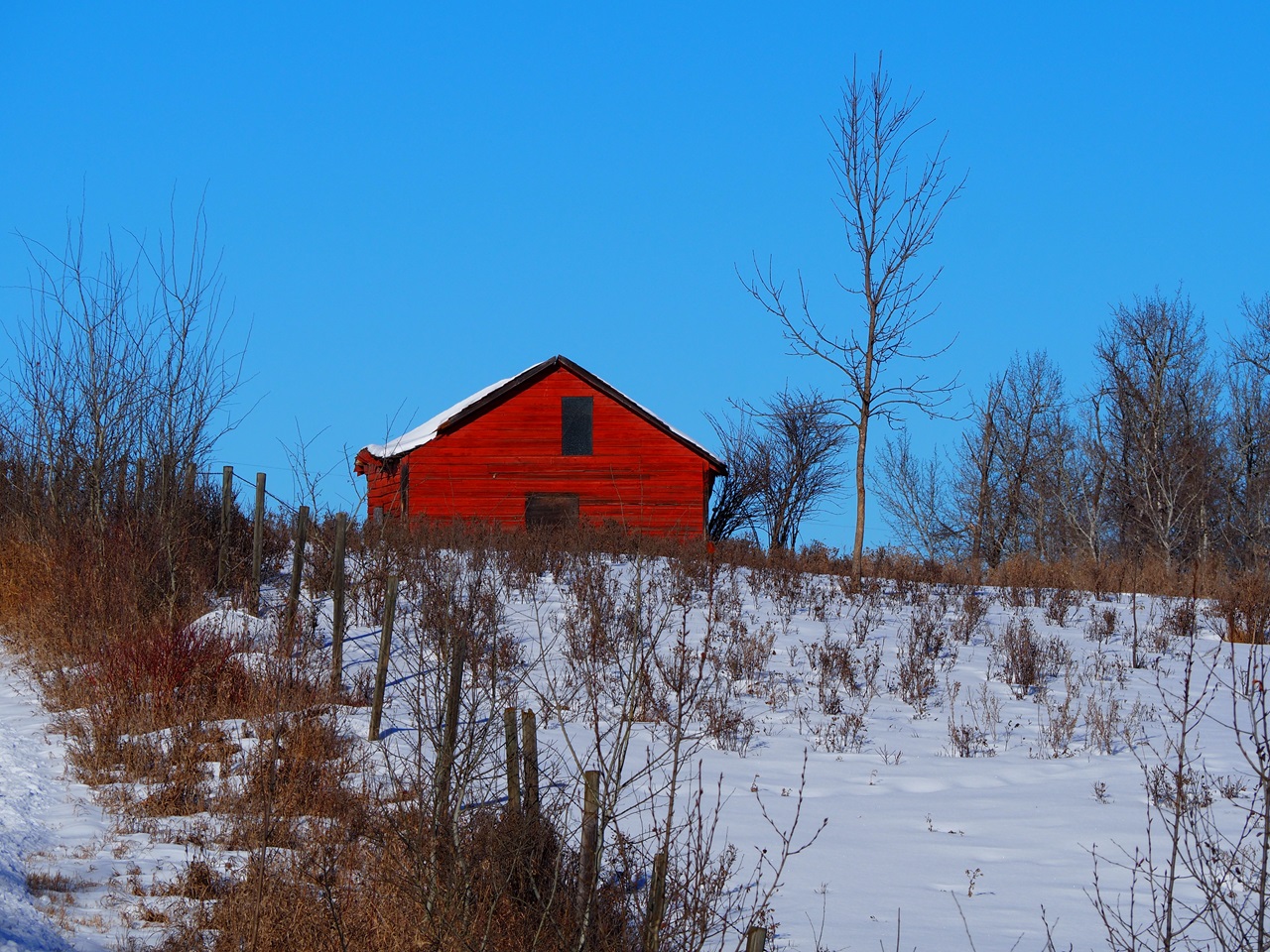Abandoned red barn Metis Crossing Smoky Lake