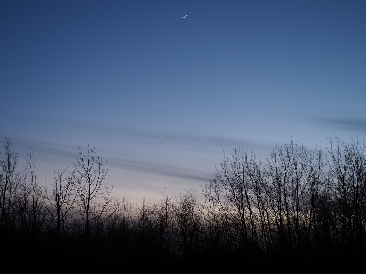 New Moon Metis Crossing