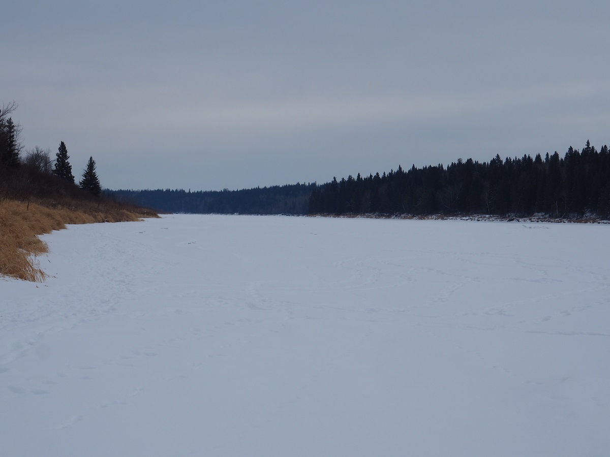 North Saskatchewan River flowing by the grounds of Métis Crossing