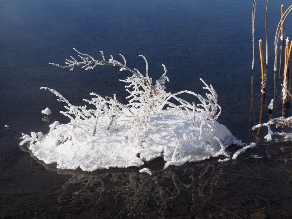 Vermillion Lakes Banff National Park Winter 2023/24, Simerg Photos, Malik Merchant