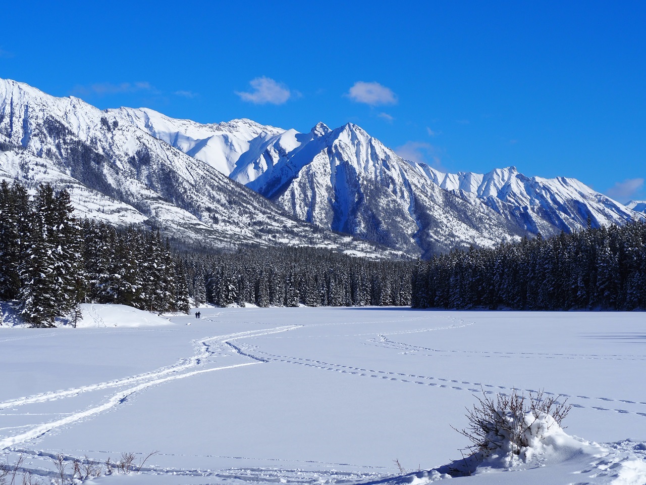 Johnson Lake Minnewanka Loop Dtive Banff