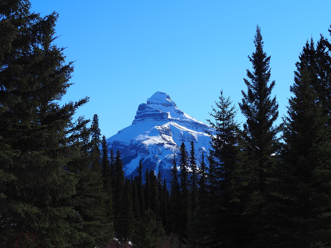 A view of Pilot Mountain from the Bow Valley Parkway (Hwy 1A), Banff National Park, March 17, 2024. Photograph: Malik Merchant/Simerg Photos.