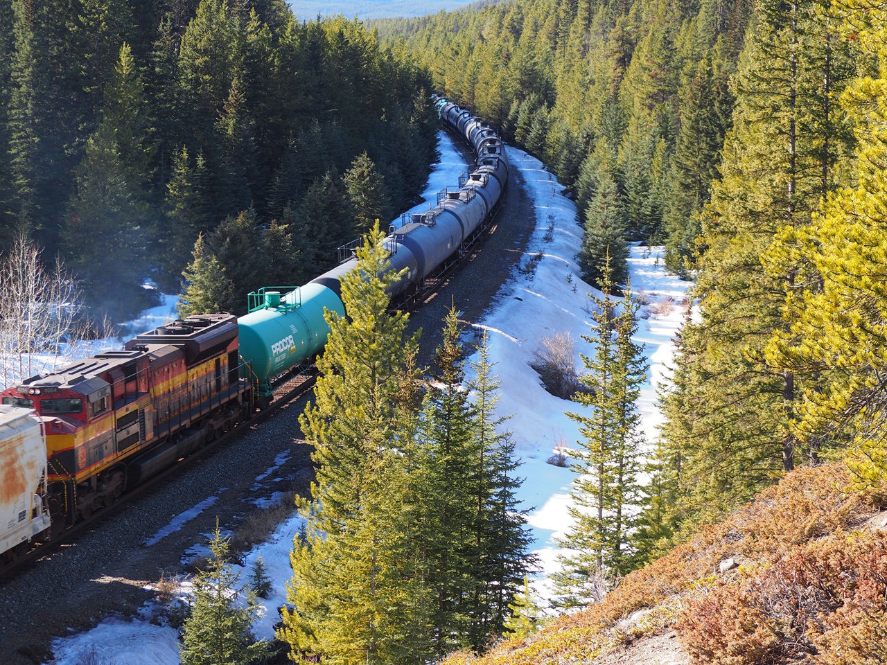 Freight train crossing Storm Mountain Lookout Point Bow Valley Parkway, Malik Merchant, Simergphotos
