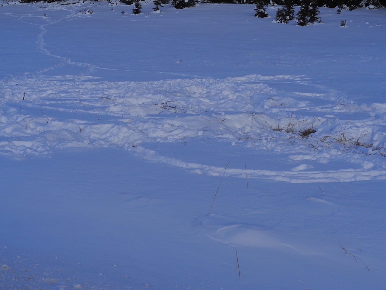 Banff National Park Winter 2023/24, Simerg Photos, Malik Merchant