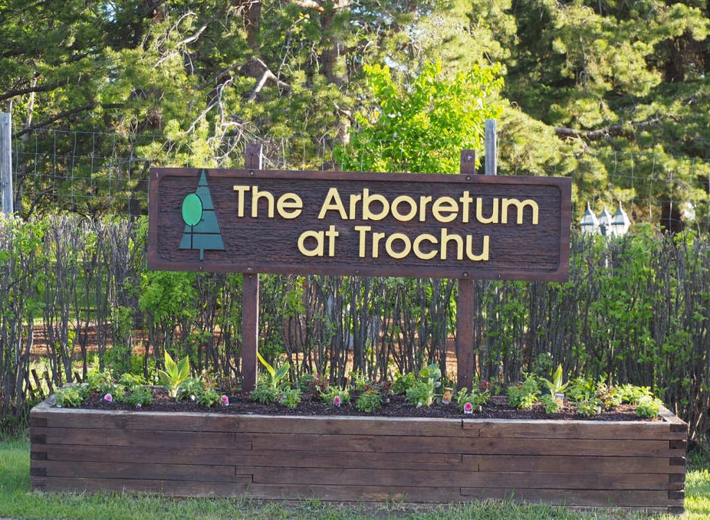 Trochu Arboretum, Alberta, June 1, 2024. Photograph: Malik Merchant., simerg photos