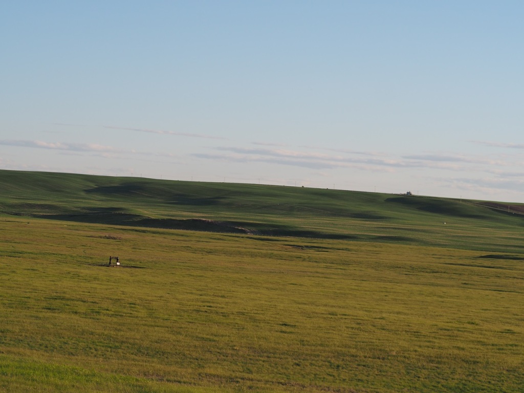 Beautiful grasslands along the road to Dry Island Buffalo Provincial Park, Alberta, May 31/June 1, 2024. Photograph: Malik Merchant/Simerg Photos.
