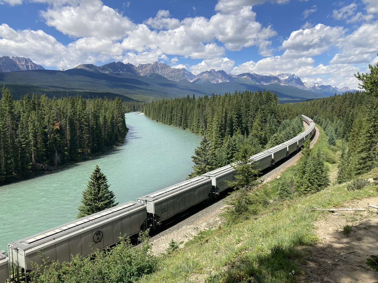 travel A Lake Louise-bound CP freight train passes