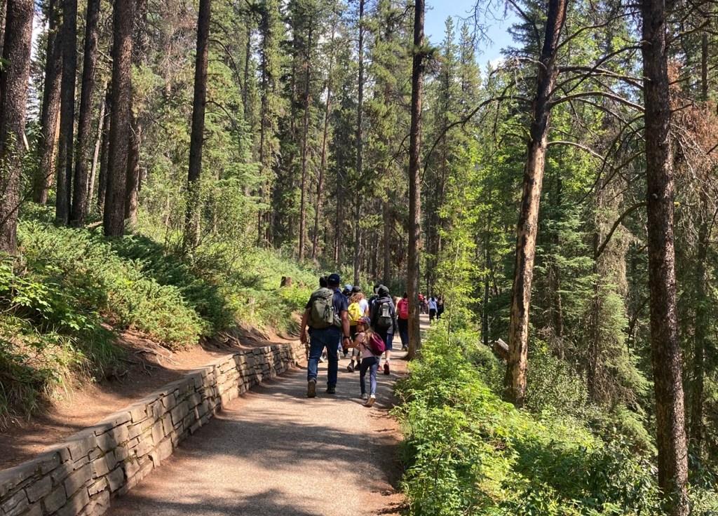 Firested section of Johnston Canyon, Bow Valley Parkway, Hwy 1A runs between Banff and Lake Louise