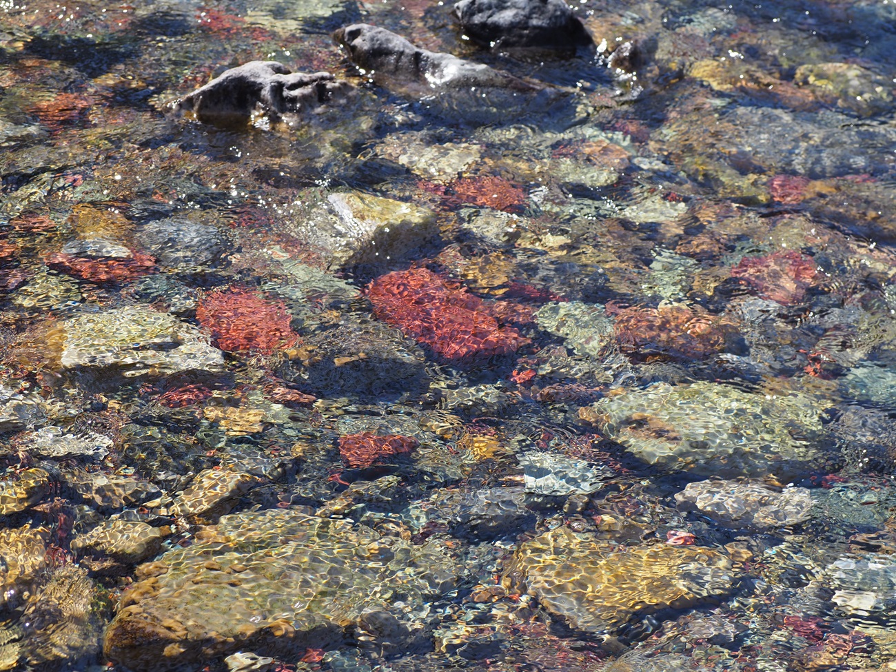 Beautiful rocks in the crystal clear waters of Cameron Creek flowing by McNeely's day use