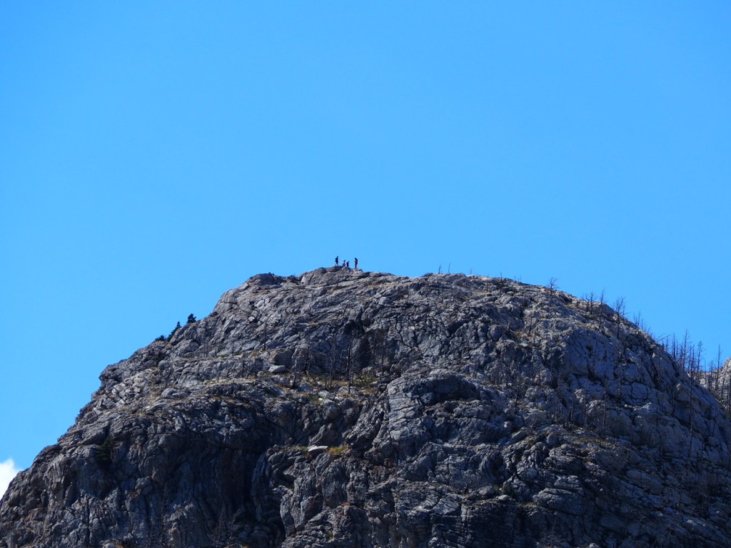 Bears Hump Waterton National Park