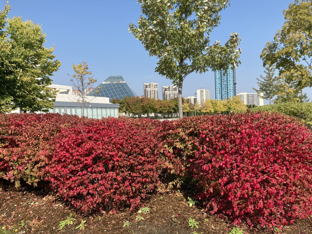 Ismaili Centre Toronto 10th anniversary special pictorial by Simerg Photos, Barakah and Simerg Fall colours