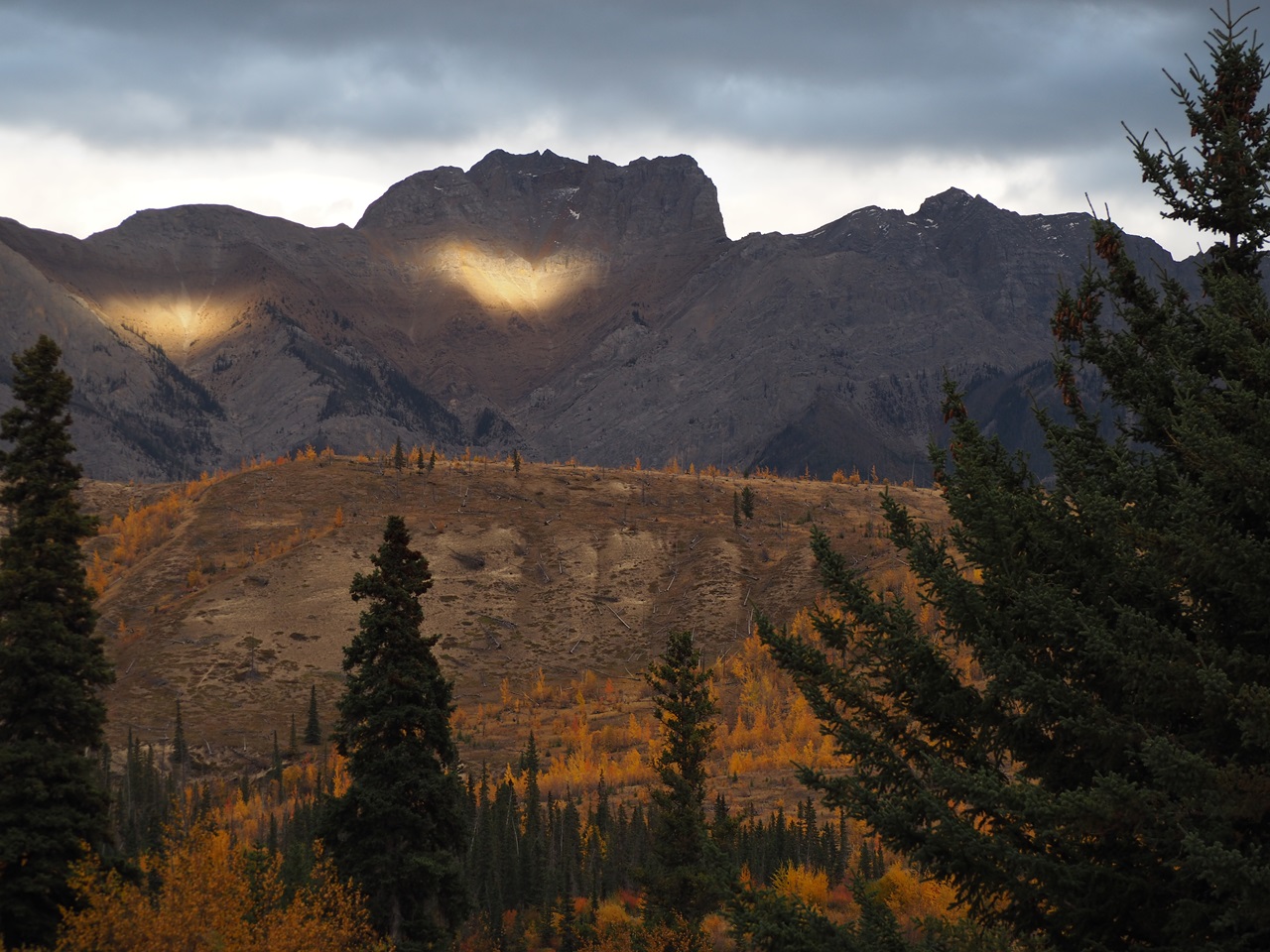 Hwy 16 Autumn Alberta
