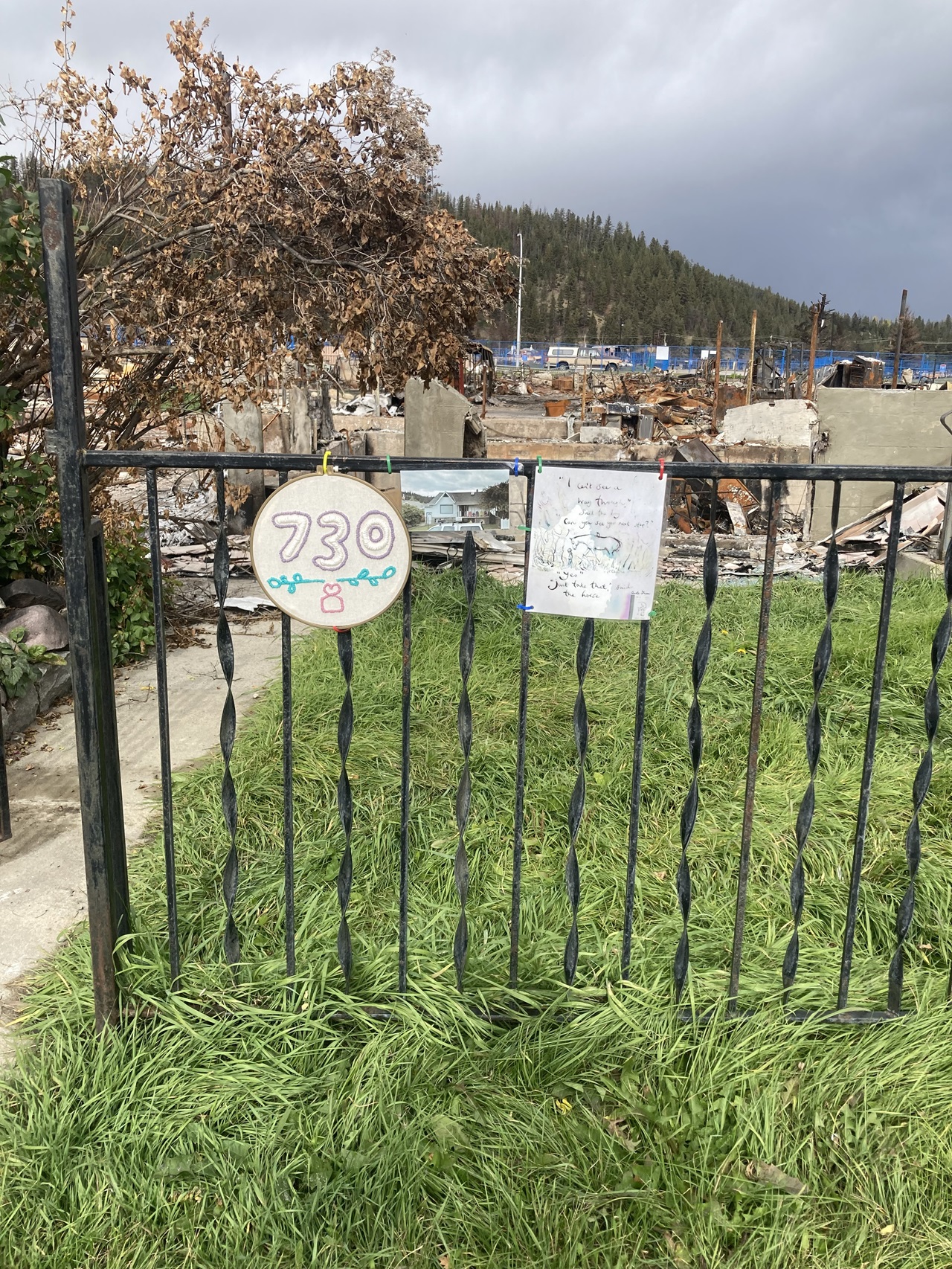 Jasper July 2024 wildfire