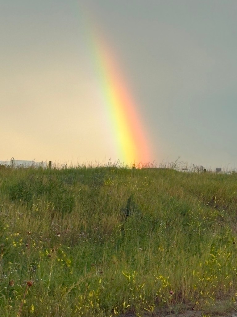Calgary Rainbow City