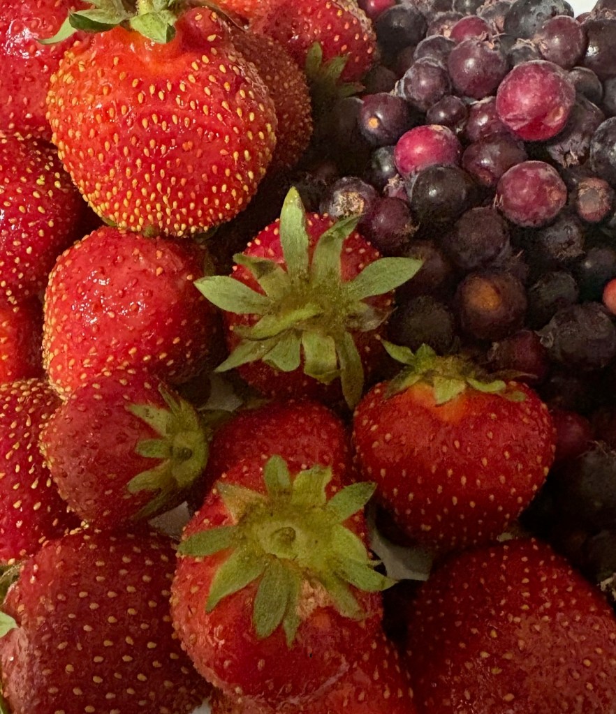 Saskatoons and strawberries picked at Hideen Valley Garden, July 16, 2025. Photograph: Malik Merchant / Simergphotos.