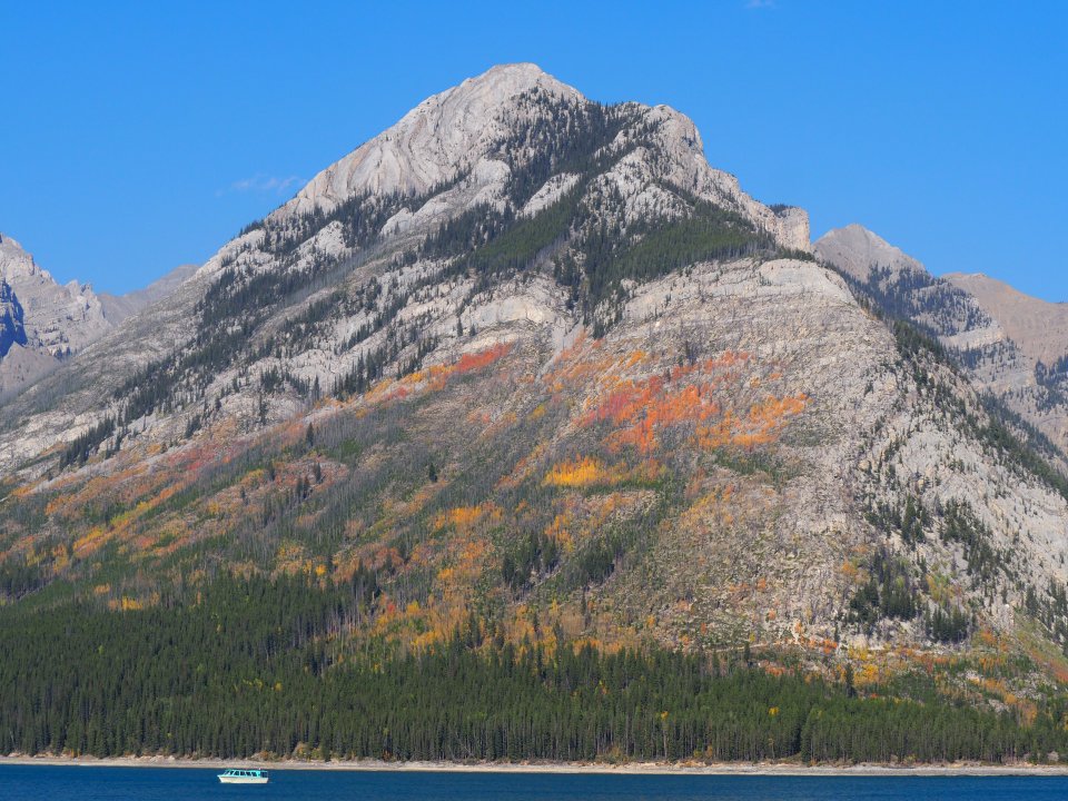Lake Minnewanka foliage