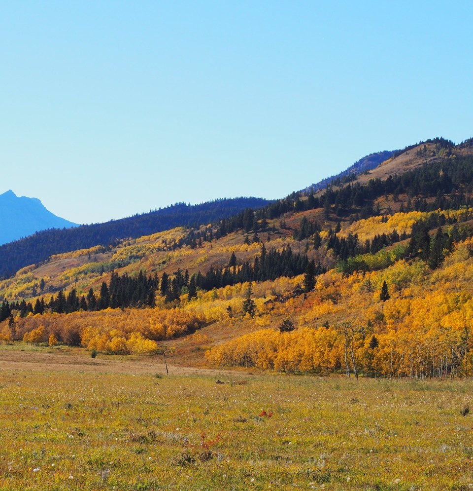 autumn in alberta