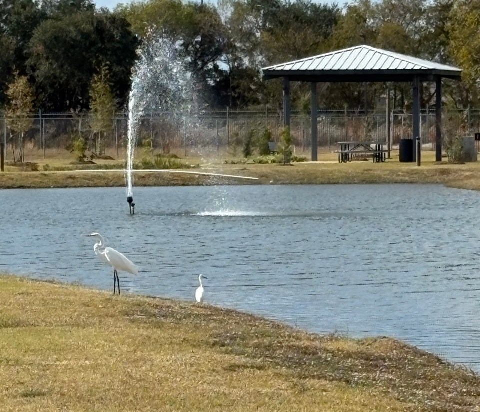Pionner Community Center