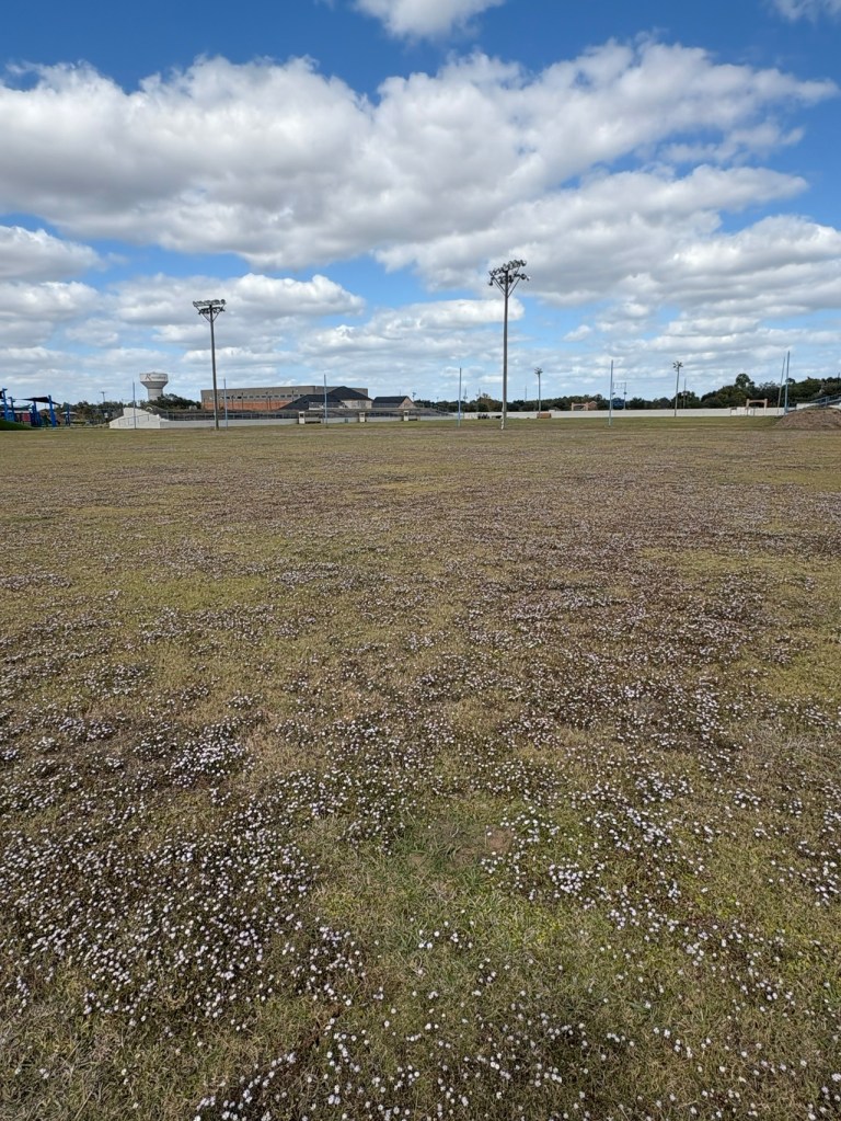 Pionner Community Center, football pitches