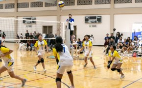 Pioneer Community Center Houston