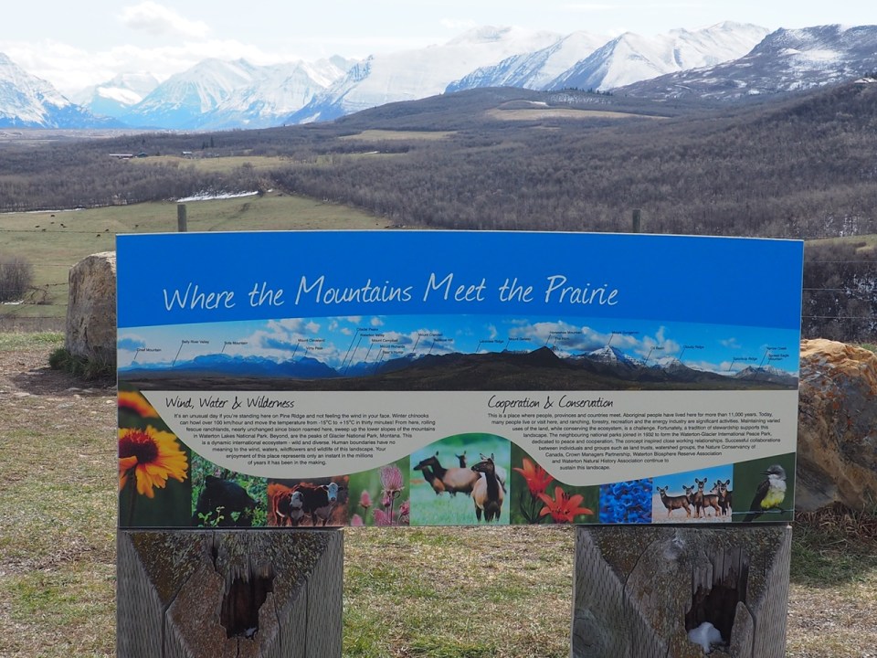 Lookout point Waterton Lakes National Park