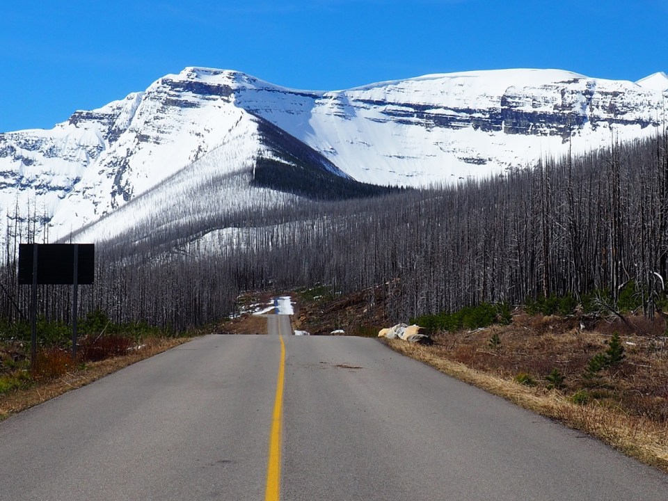 Waterton National Park, April 2026. Photograph: Malik Merchant / Simergphotos.