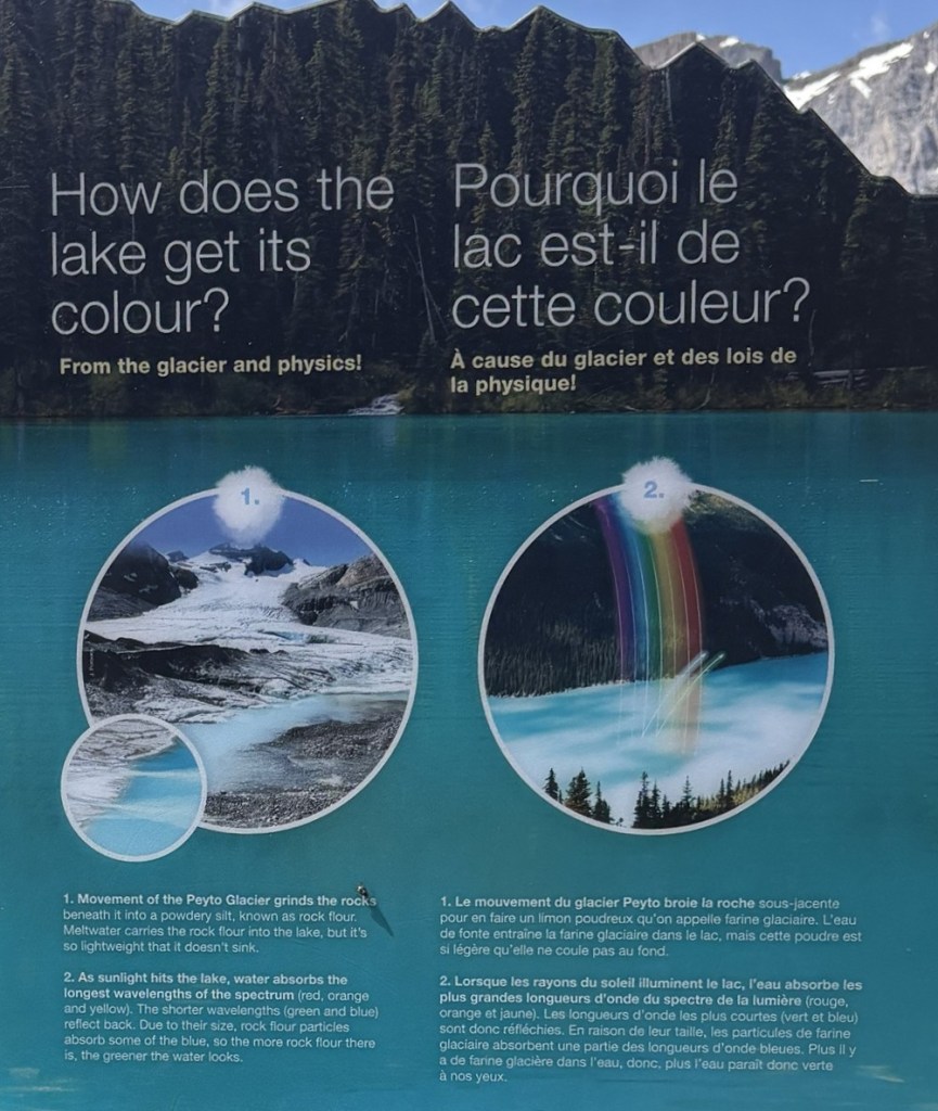 Peyto Lake Colour formation