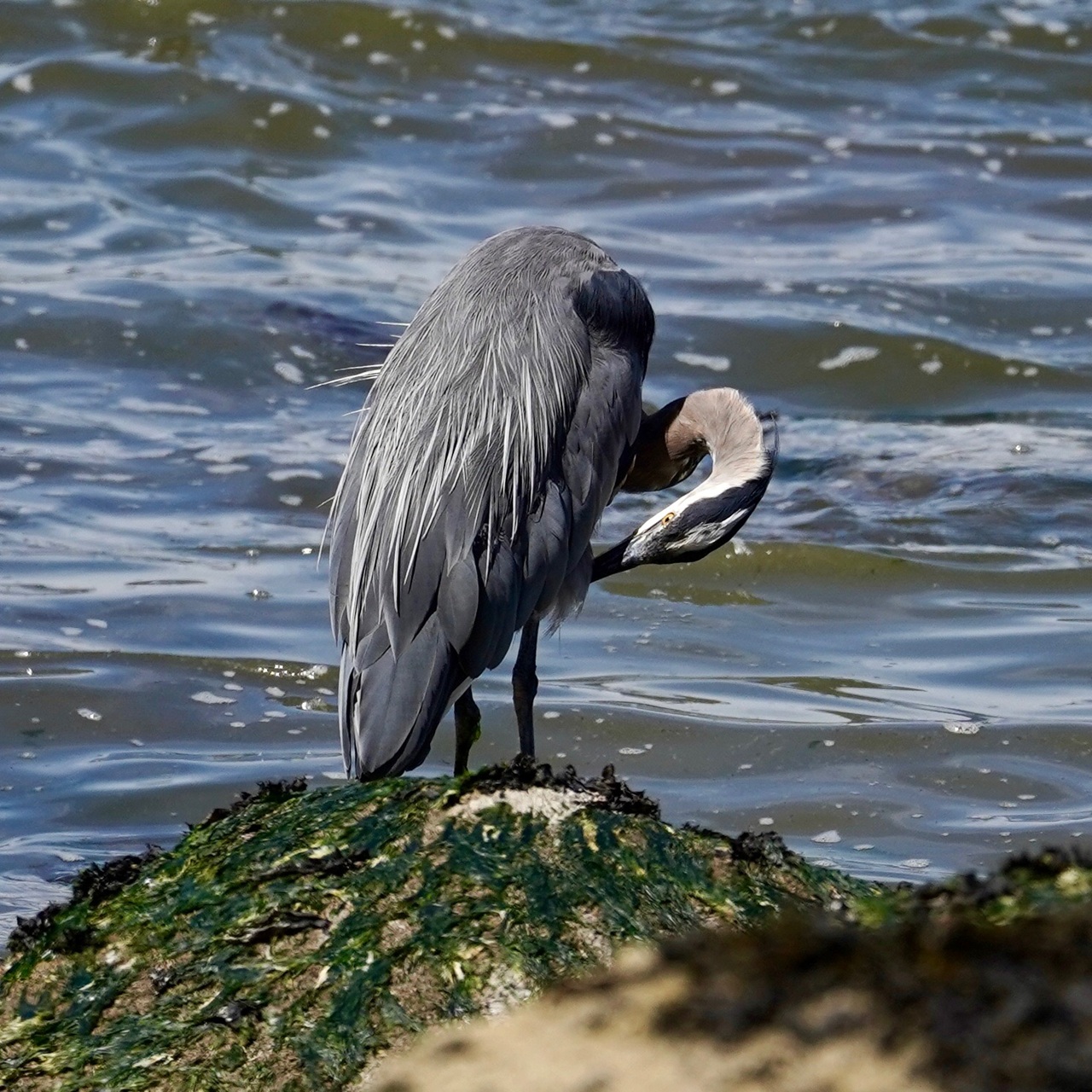 Stanley Park