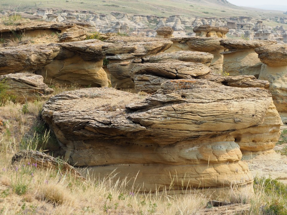 Hoodoos Writing on Stone Provincial Park