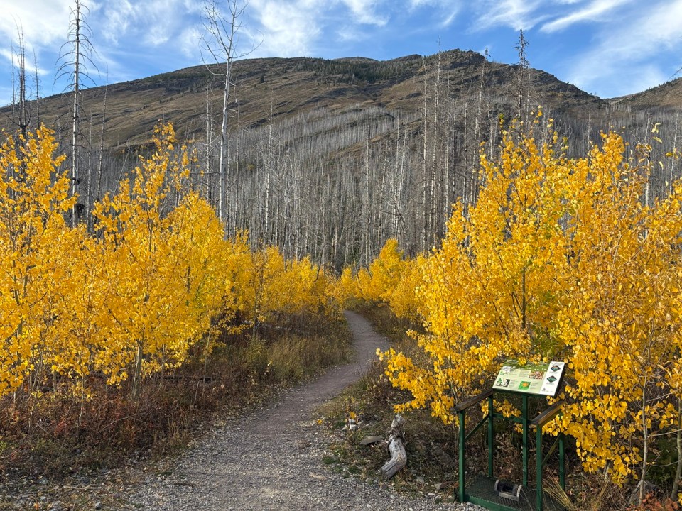 Waterton Lakes National Park, Alberta, Canada, October 2026; Photograph: Malik Merchant / Simergphotos.