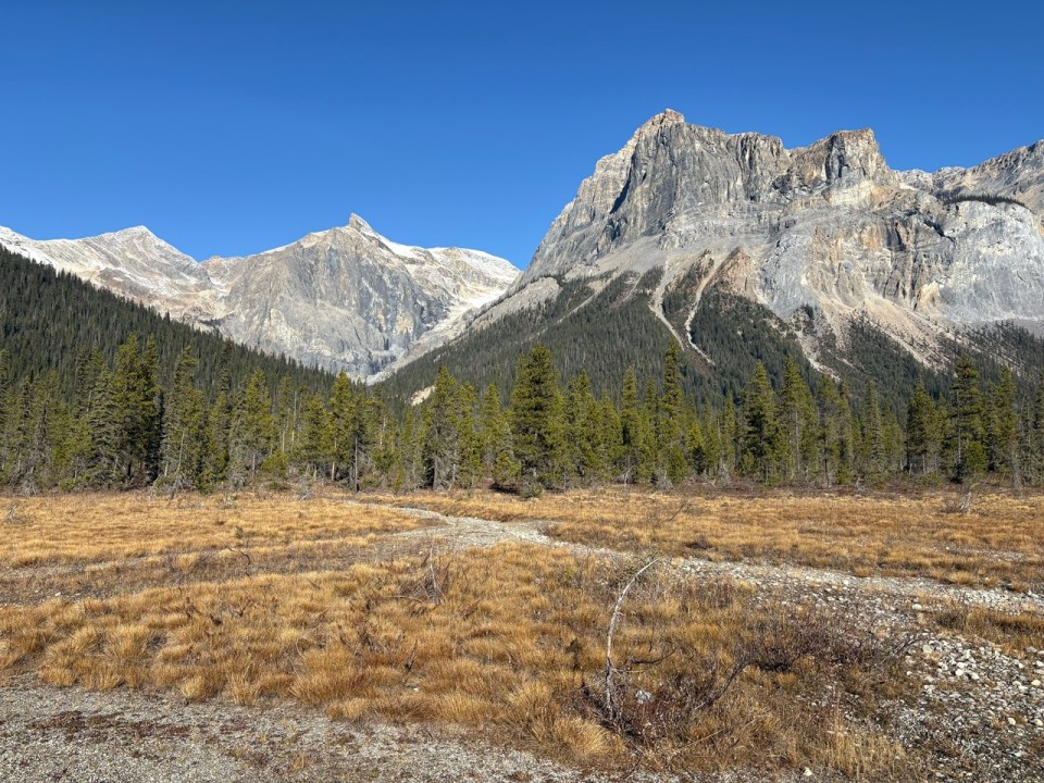 Mountain scenery from Emerald Lake Loop Trail