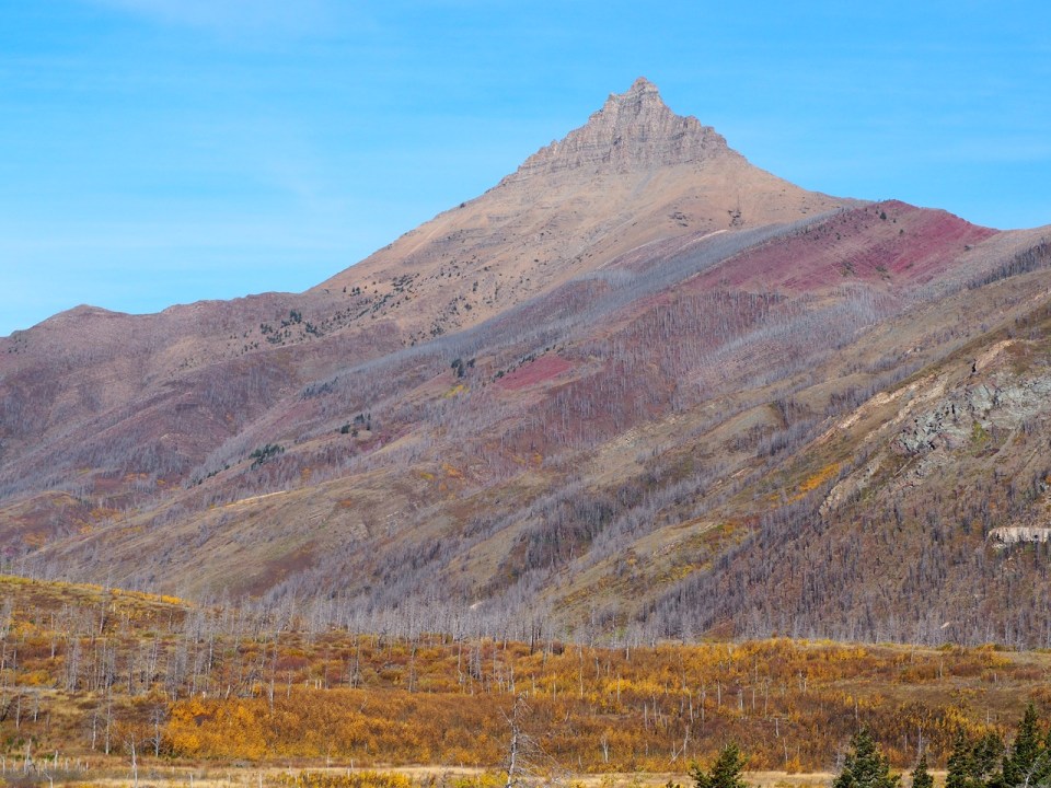 Autumn foliage on  Red Rock Canyon Parkway, Waterton Lakes National Park, Alberta, Canada, October 2026; Photograph: Malik Merchant / Simergphotos.