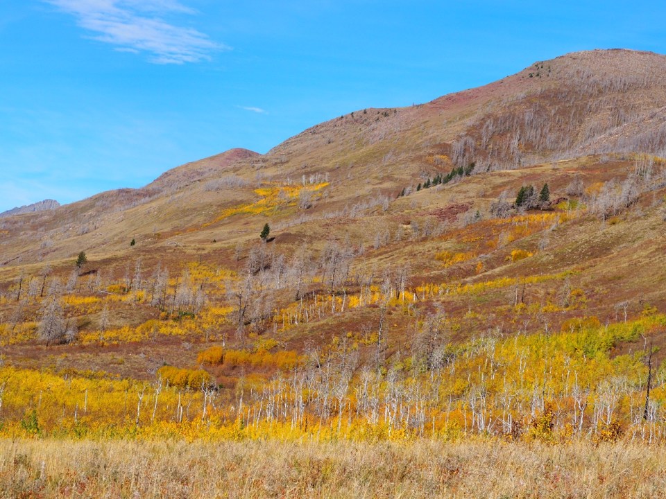 Red Rock Canyon Parkway, Waterton Lakes National Park