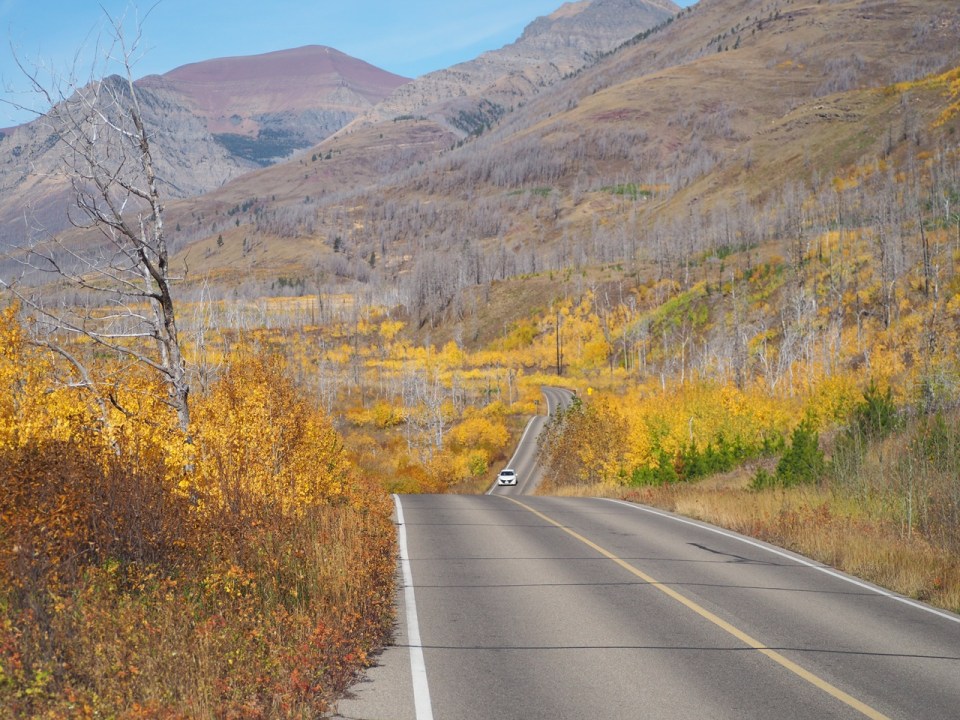 Autumn foliage on  Red Rock Canyon Parkway, Waterton Lakes National Park, Alberta, Canada, October 2026; Photograph: Malik Merchant / Simergphotos.