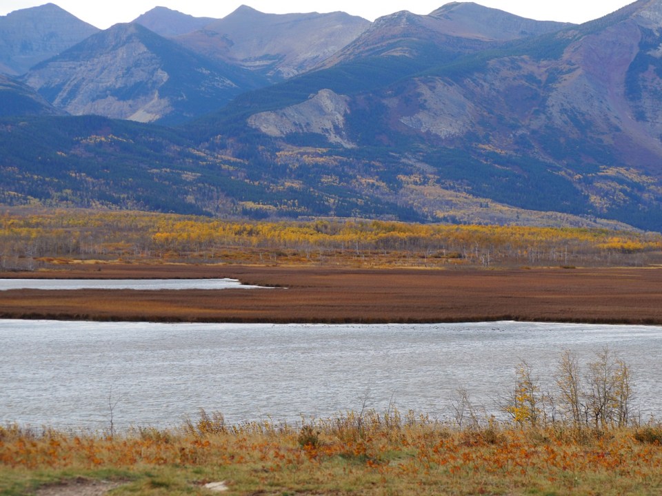 A view across Maskinonge wetland